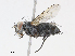 ( - CBG-A13238-F02)  @11 [ ] CreativeCommons - Attribution Share - Alike (2023) CBG Photography Group Centre for Biodiversity Genomics
