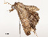  ( - CBG-A54399-G01)  @11 [ ] CreativeCommons - Attribution Share - Alike (2024) CBG Photography Group Centre for Biodiversity Genomics