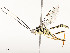  ( - CBG-A54400-C07)  @11 [ ] CreativeCommons - Attribution Share - Alike (2024) CBG Photography Group Centre for Biodiversity Genomics