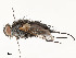  ( - CBG-A54505-H04)  @11 [ ] CreativeCommons - Attribution Share - Alike (2024) CBG Photography Group Centre for Biodiversity Genomics
