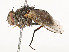  ( - CBG-A54509-G01)  @11 [ ] CreativeCommons - Attribution Share - Alike (2024) CBG Photography Group Centre for Biodiversity Genomics