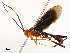  ( - CBG-A54509-G04)  @11 [ ] CreativeCommons - Attribution Share - Alike (2024) CBG Photography Group Centre for Biodiversity Genomics