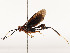  ( - CBG-A54510-F04)  @11 [ ] CreativeCommons - Attribution Share - Alike (2024) CBG Photography Group Centre for Biodiversity Genomics