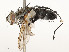  ( - CBG-A54510-F09)  @11 [ ] CreativeCommons - Attribution Share - Alike (2024) CBG Photography Group Centre for Biodiversity Genomics