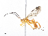  ( - CBG-A08793-H04)  @11 [ ] CreativeCommons - Attribution Share - Alike (2023) CBG Photography Group Centre for Biodiversity Genomics