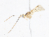  ( - CBG-A08794-B04)  @11 [ ] CreativeCommons - Attribution Share - Alike (2023) CBG Photography Group Centre for Biodiversity Genomics