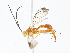  ( - CBG-A08794-B08)  @11 [ ] CreativeCommons - Attribution Share - Alike (2023) CBG Photography Group Centre for Biodiversity Genomics