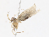  ( - CBG-A08795-A07)  @11 [ ] CreativeCommons - Attribution Share - Alike (2023) CBG Photography Group Centre for Biodiversity Genomics