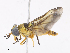  ( - CBG-A10806-G09)  @11 [ ] CreativeCommons - Attribution Share-Alike (2023) CBG Photography Group Centre for Biodiversity Genomics