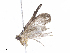  ( - CBG-A10806-H09)  @11 [ ] CreativeCommons - Attribution Share-Alike (2023) CBG Photography Group Centre for Biodiversity Genomics