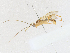  ( - CBG-A16688-C03)  @11 [ ] CreativeCommons - Attribution Share - Alike (2023) CBG Photography Group Centre for Biodiversity Genomics
