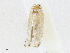 ( - CBG-A16688-F07)  @11 [ ] CreativeCommons - Attribution Share - Alike (2023) CBG Photography Group Centre for Biodiversity Genomics