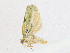  (Glena Malaise8798 - CBG-A16689-C05)  @11 [ ] CreativeCommons - Attribution Share - Alike (2023) CBG Photography Group Centre for Biodiversity Genomics