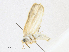  ( - CBG-A16689-C11)  @11 [ ] CreativeCommons - Attribution Share - Alike (2023) CBG Photography Group Centre for Biodiversity Genomics