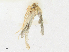  ( - CBG-A16690-B12)  @11 [ ] CreativeCommons - Attribution Share - Alike (2023) CBG Photography Group Centre for Biodiversity Genomics