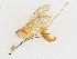  ( - CBG-A16690-C10)  @11 [ ] CreativeCommons - Attribution Share - Alike (2023) CBG Photography Group Centre for Biodiversity Genomics