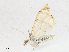  ( - CBG-A16690-E06)  @11 [ ] CreativeCommons - Attribution Share - Alike (2023) CBG Photography Group Centre for Biodiversity Genomics