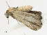  ( - CBG-A16690-E12)  @11 [ ] CreativeCommons - Attribution Share - Alike (2023) CBG Photography Group Centre for Biodiversity Genomics