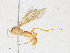  ( - CBG-A16690-F08)  @11 [ ] CreativeCommons - Attribution Share - Alike (2023) CBG Photography Group Centre for Biodiversity Genomics