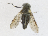  ( - CBG-A16703-C03)  @11 [ ] CreativeCommons - Attribution Share - Alike (2023) CBG Photography Group Centre for Biodiversity Genomics