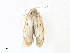  ( - CBG-A34316-B11)  @11 [ ] CreativeCommons - Attribution Share - Alike (2024) CBG Photography Group Centre for Biodiversity Genomics