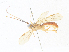  ( - CBG-A35186-B12)  @11 [ ] CreativeCommons - Attribution Share - Alike (2024) CBG Photography Group Centre for Biodiversity Genomics