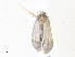  ( - CBG-A35186-C09)  @11 [ ] CreativeCommons - Attribution Share - Alike (2024) CBG Photography Group Centre for Biodiversity Genomics
