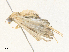  ( - CBG-A35186-E01)  @11 [ ] CreativeCommons - Attribution Share - Alike (2024) CBG Photography Group Centre for Biodiversity Genomics