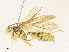  ( - CBG-A35187-H09)  @11 [ ] CreativeCommons - Attribution Share - Alike (2024) CBG Photography Group Centre for Biodiversity Genomics