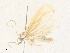  ( - CBG-A35188-A03)  @11 [ ] CreativeCommons - Attribution Share - Alike (2024) CBG Photography Group Centre for Biodiversity Genomics