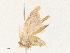  ( - CBG-A38473-C03)  @11 [ ] CreativeCommons - Attribution Share - Alike (2024) CBG Photography Group Centre for Biodiversity Genomics
