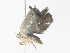  ( - CBG-A38473-F11)  @11 [ ] CreativeCommons - Attribution Share - Alike (2024) CBG Photography Group Centre for Biodiversity Genomics