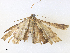  ( - CBG-A38474-C07)  @11 [ ] CreativeCommons - Attribution Share - Alike (2024) CBG Photography Group Centre for Biodiversity Genomics