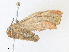  ( - CBG-A38474-F10)  @11 [ ] CreativeCommons - Attribution Share - Alike (2024) CBG Photography Group Centre for Biodiversity Genomics
