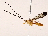  ( - BIOUG62725-G06)  @11 [ ] CreativeCommons - Attribution (2021) CBG Photography Group Centre for Biodiversity Genomics