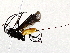  ( - BIOUG62726-A11)  @11 [ ] CreativeCommons - Attribution (2021) CBG Photography Group Centre for Biodiversity Genomics