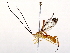  ( - BIOUG64399-D08)  @11 [ ] CreativeCommons - Attribution (2021) CBG Photography Group Centre for Biodiversity Genomics