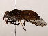  ( - BIOUG72913-C04)  @11 [ ] CreativeCommons - Attribution (2021) CBG Photography Group Centre for Biodiversity Genomics