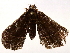  ( - BIOUG72914-C02)  @11 [ ] CreativeCommons - Attribution (2021) CBG Photography Group Centre for Biodiversity Genomics