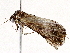  ( - BIOUG72915-C01)  @11 [ ] CreativeCommons - Attribution (2021) CBG Photography Group Centre for Biodiversity Genomics