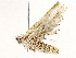  ( - BIOUG72915-F10)  @11 [ ] CreativeCommons - Attribution (2021) CBG Photography Group Centre for Biodiversity Genomics