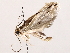  ( - BIOUG73642-C10)  @11 [ ] CreativeCommons - Attribution (2021) CBG Photography Group Centre for Biodiversity Genomics