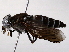  ( - BIOUG73642-G07)  @11 [ ] CreativeCommons - Attribution (2021) CBG Photography Group Centre for Biodiversity Genomics