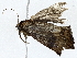  ( - BIOUG73670-F06)  @11 [ ] CreativeCommons - Attribution (2022) CBG Photography Group Centre for Biodiversity Genomics