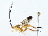  ( - BIOUG73670-F10)  @11 [ ] CreativeCommons - Attribution (2022) CBG Photography Group Centre for Biodiversity Genomics