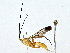  ( - BIOUG73670-F11)  @11 [ ] CreativeCommons - Attribution (2022) CBG Photography Group Centre for Biodiversity Genomics