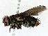  ( - BIOUG73670-H08)  @11 [ ] CreativeCommons - Attribution (2022) CBG Photography Group Centre for Biodiversity Genomics