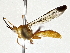  ( - BIOUG73671-H01)  @11 [ ] CreativeCommons - Attribution (2022) CBG Photography Group Centre for Biodiversity Genomics