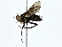  ( - BIOUG76516-B03)  @11 [ ] CreativeCommons - Attribution (2022) CBG Photography Group Centre for Biodiversity Genomics