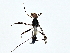  ( - BIOUG76516-B04)  @11 [ ] CreativeCommons - Attribution (2022) CBG Photography Group Centre for Biodiversity Genomics